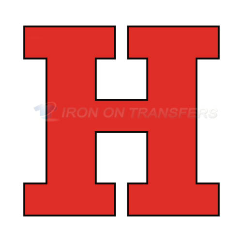 Hartford Hawks Logo T-shirts Iron On Transfers N4531